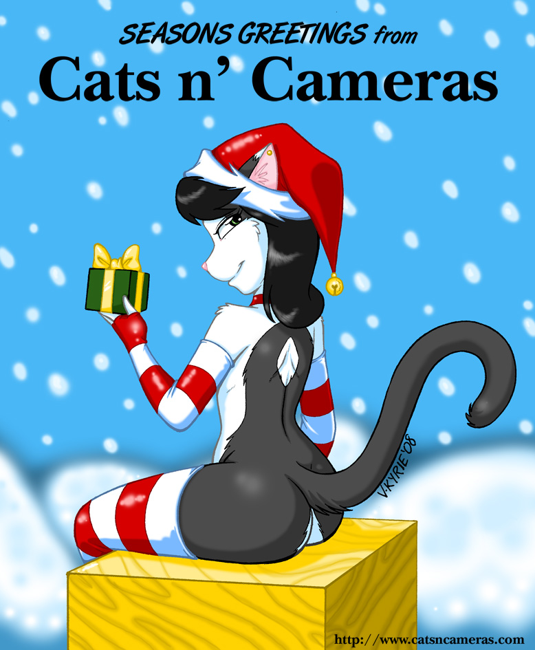 Merry Christmas From CnC