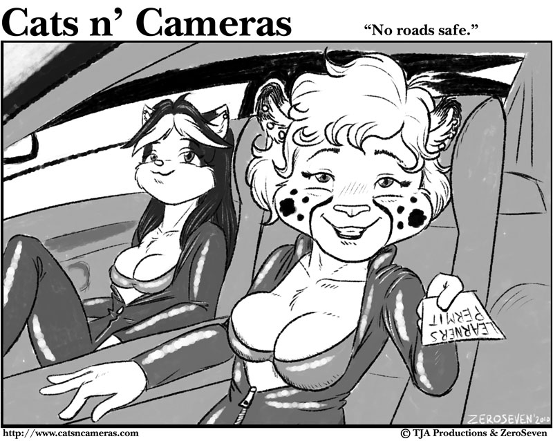 No Roads Safe Title