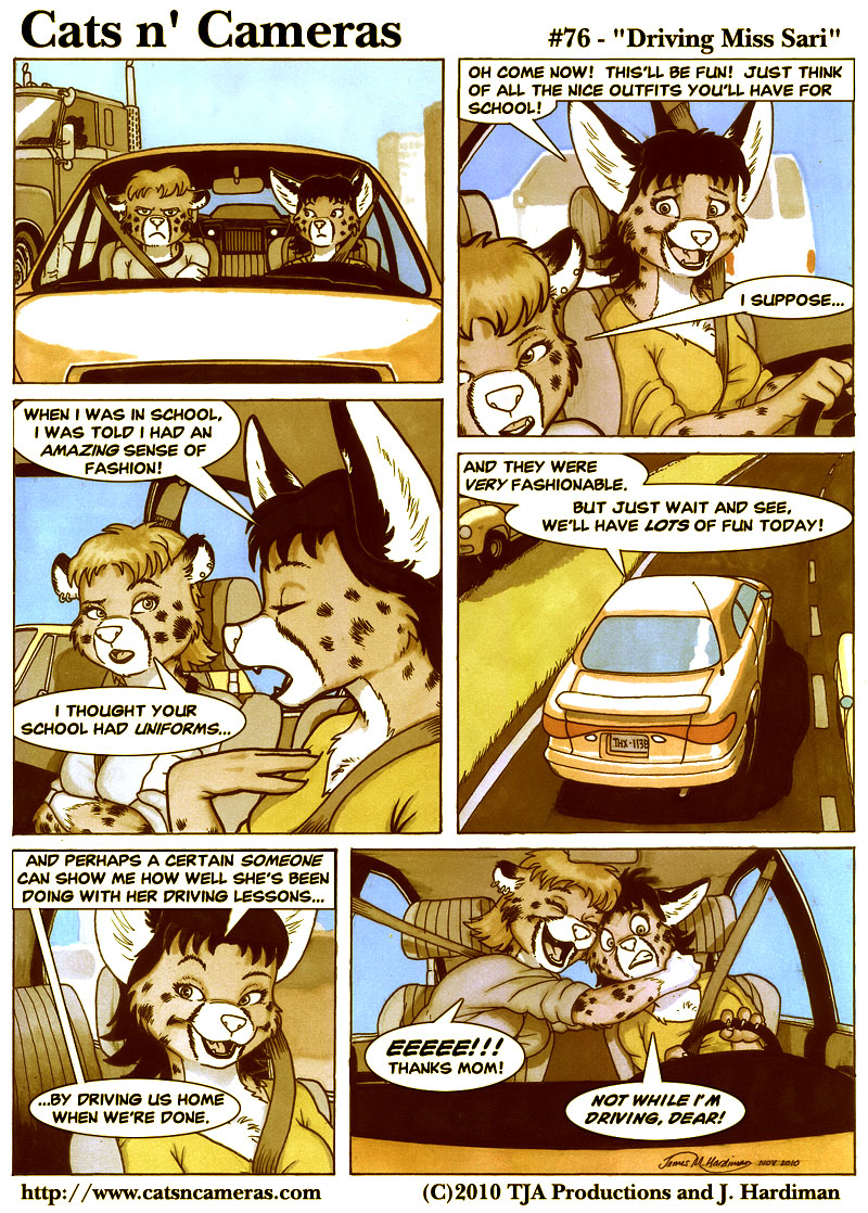 Driving Miss Sari