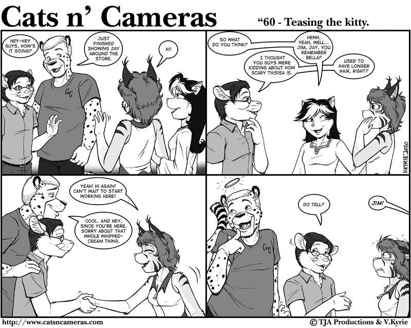 Teasing The Kitty