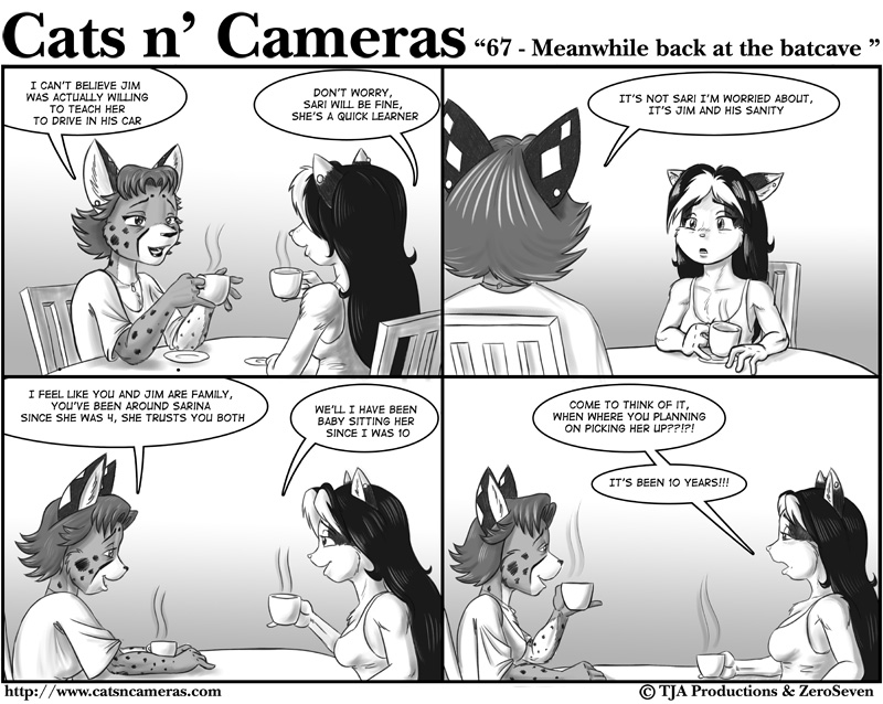 Meanwhile Back In The Cat Cave