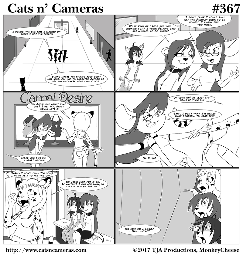 367 just try it on cats n cameras