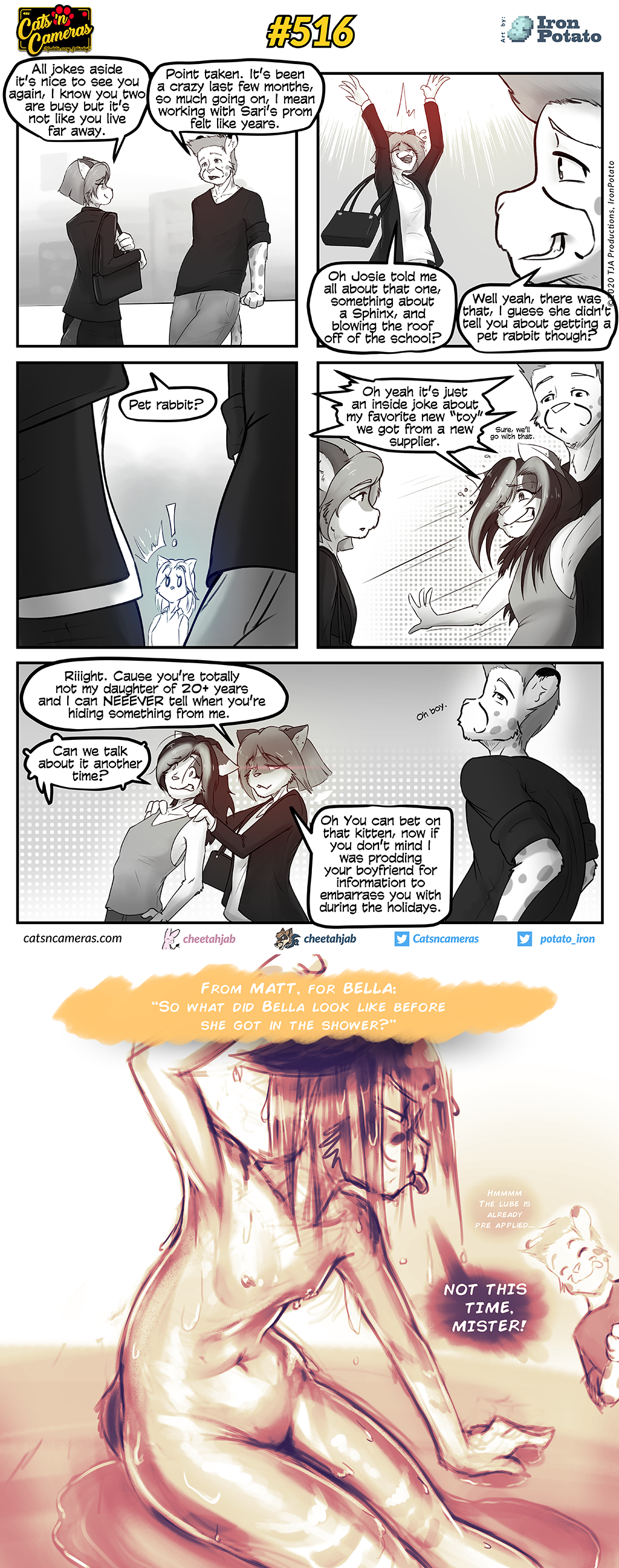 516 – Pet rabbit